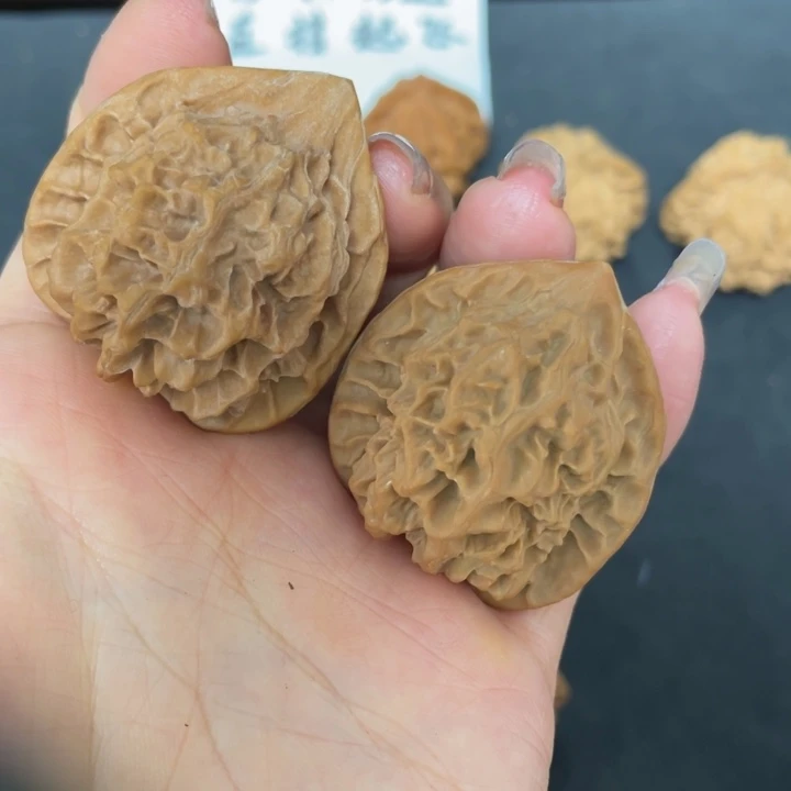 核桃把件秦岭核桃研究所研究野果