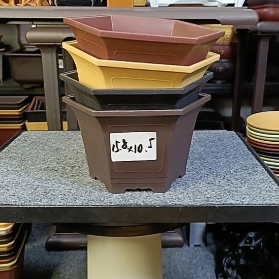 10只15.8cm小号六角盆