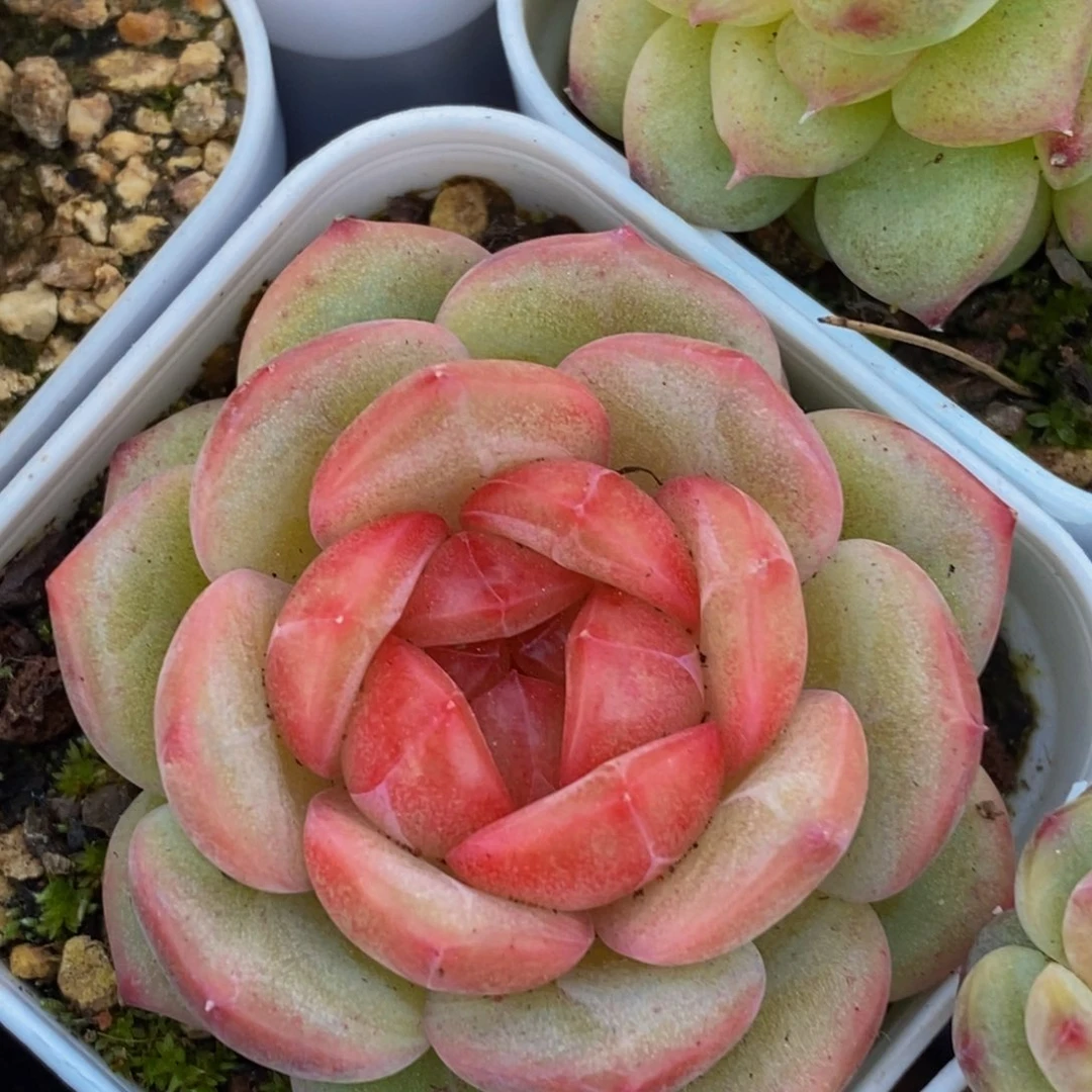 001的我是一个很喜欢的人