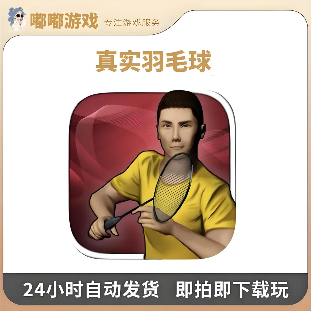 真实羽毛球 Real Badminton 平板游戏安装服务