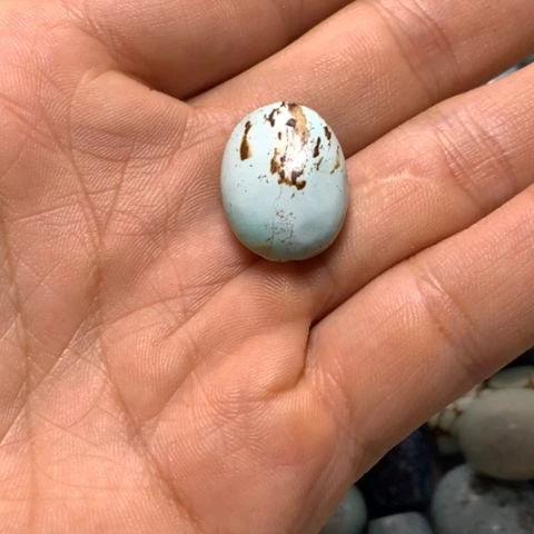 大理石磁石配饰饰品南国风光无限