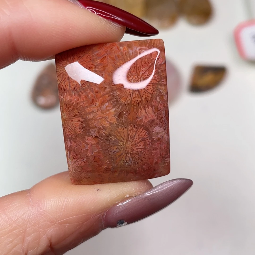 【闪购商品】未镶嵌吊坠(赠链)硅化玉