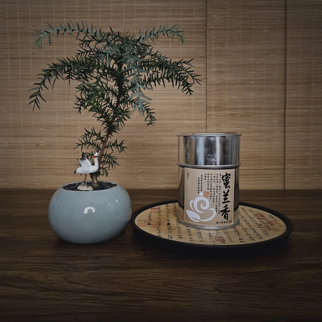 乌岽单丛【蜜兰香】50g正宗潮州碳焙乌龙茶