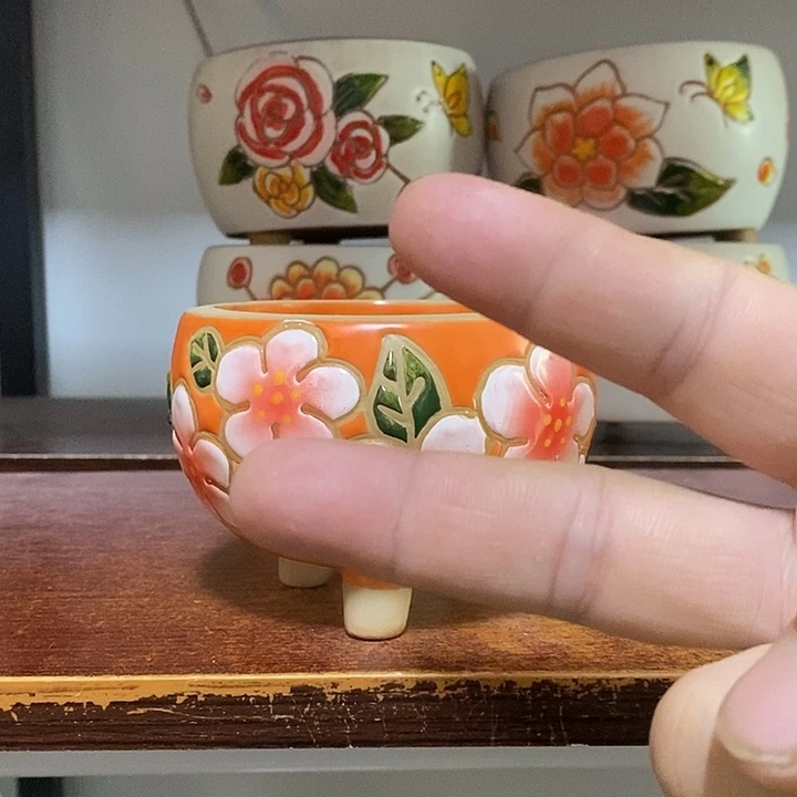 韩式多肉植物花盆