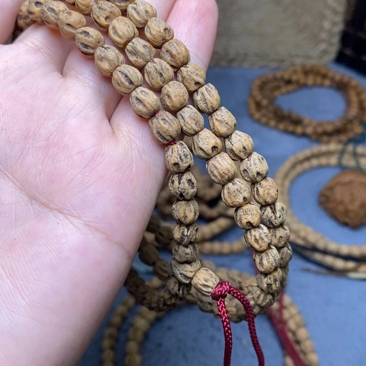 吊坠柏香籽/百香籽叶*