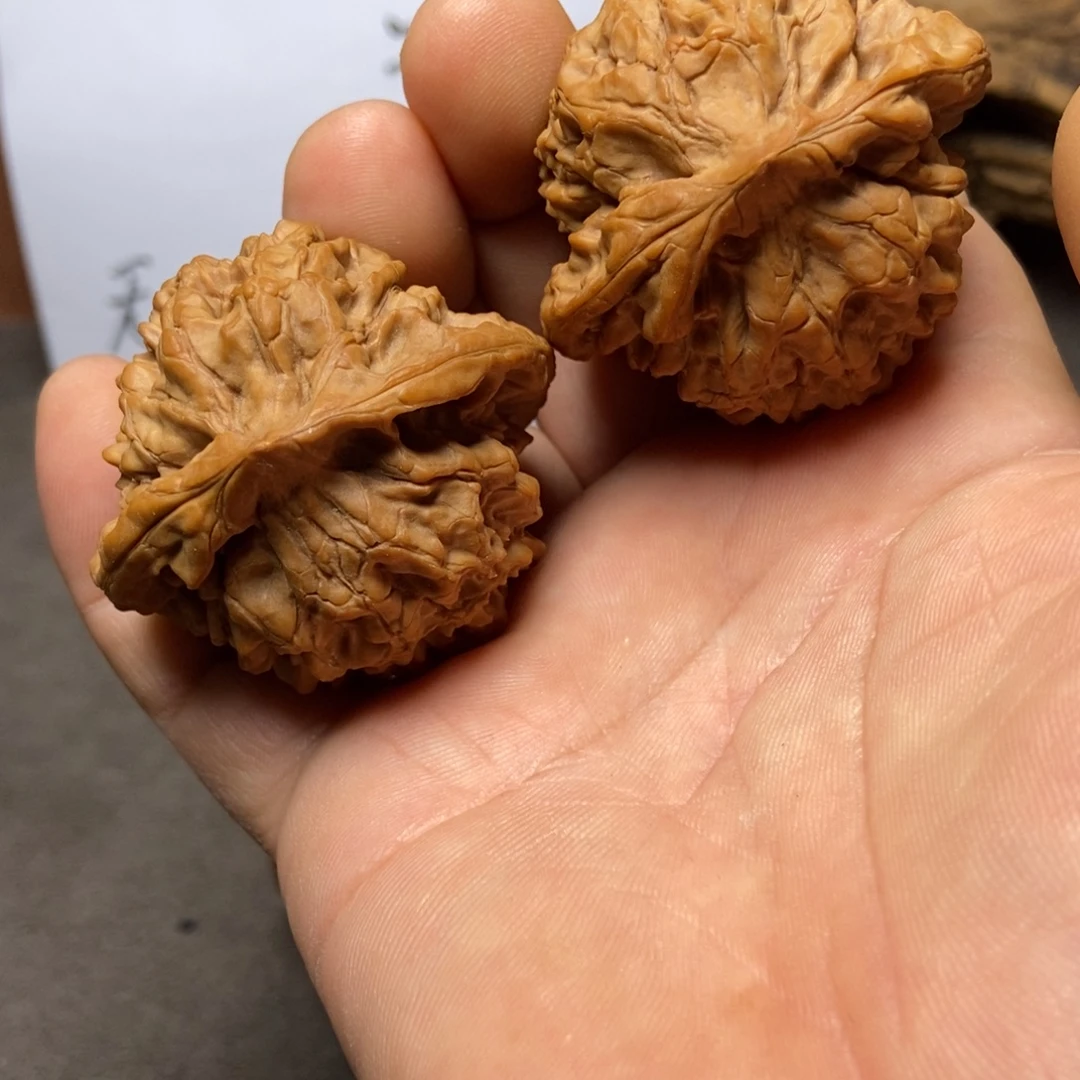 文玩核桃把件龙鼎