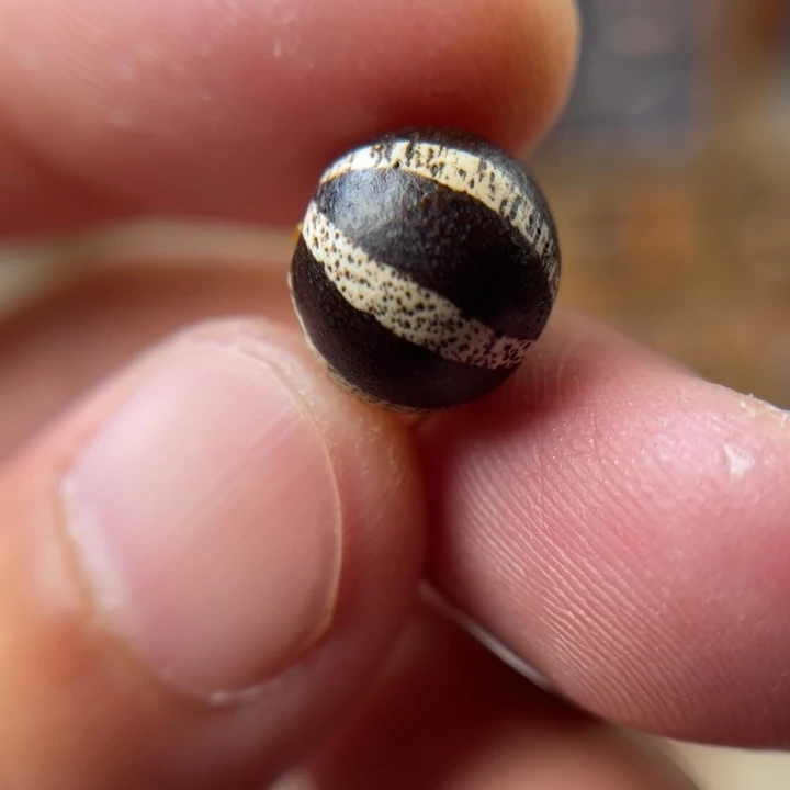 石英质玉未镶嵌吊坠(不含链)