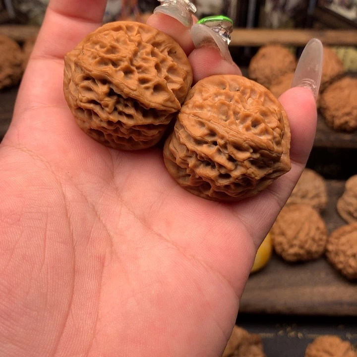 倒*时35尺秦岭野生小金豆