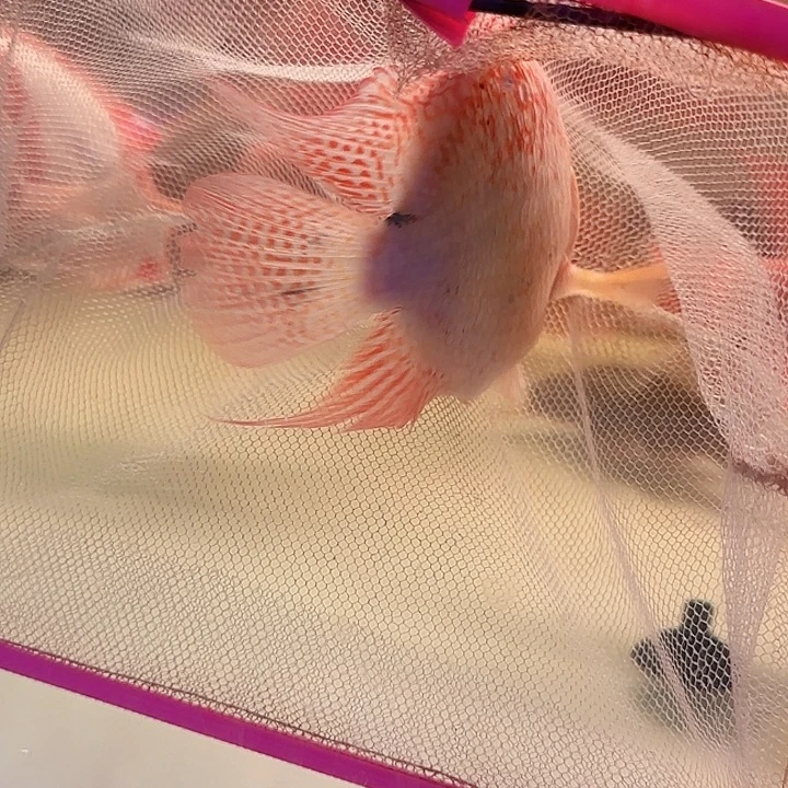 奋***3海水啊啊啊啊啊啊啊啊啊啊