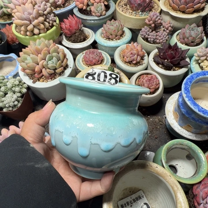 特价花盆满50发货 内口8.5