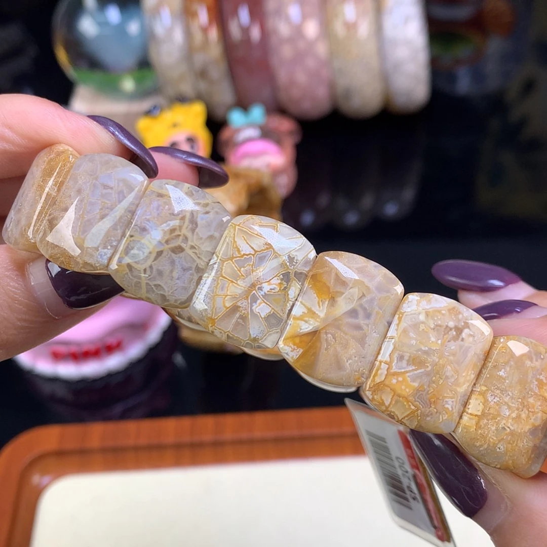 【闪购商品】颈饰未镶嵌硅化珊瑚（珊瑚玉）福利200漏128（24号）