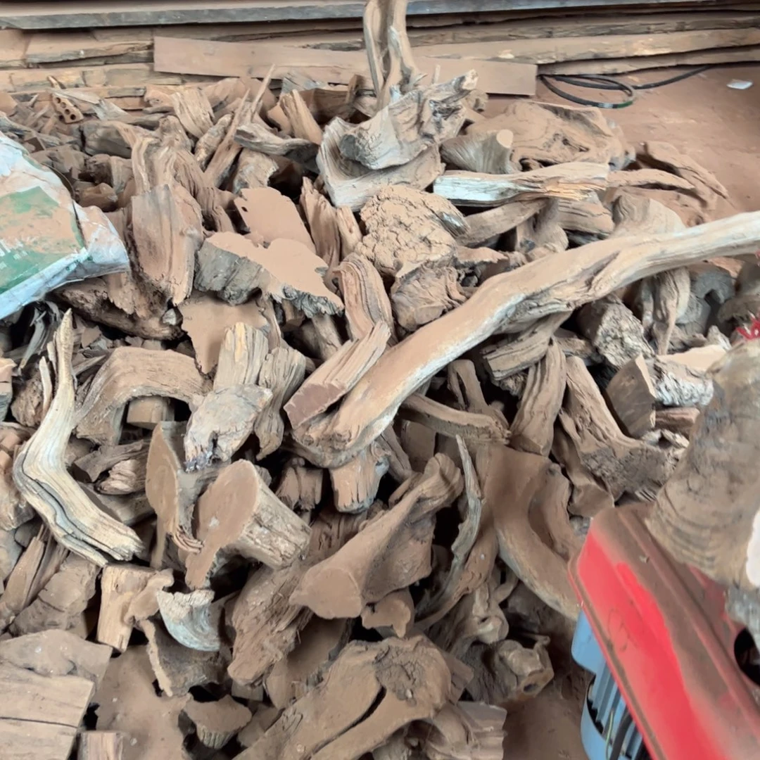 柏木（崖柏）北太行陈化崖柏