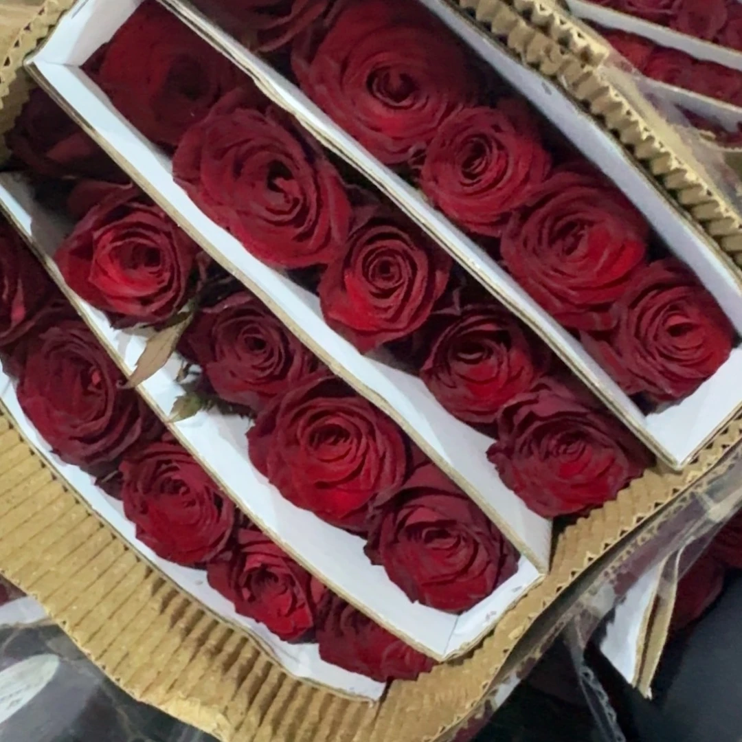 高原红3扎包邮秒杀