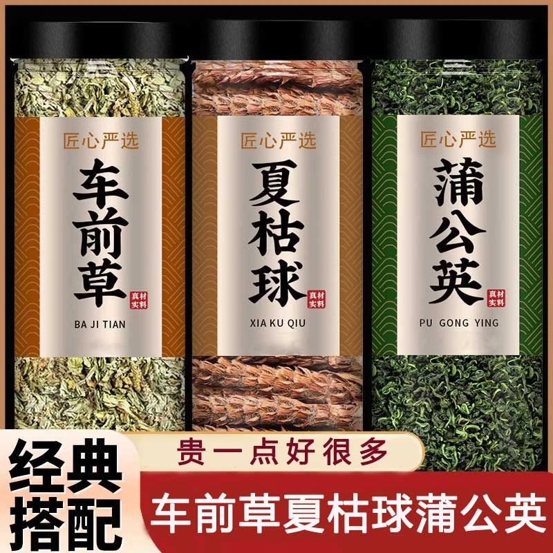 夏枯草蒲公英车前草泡水新鲜正品干货车前草泡茶喝的功效与作用