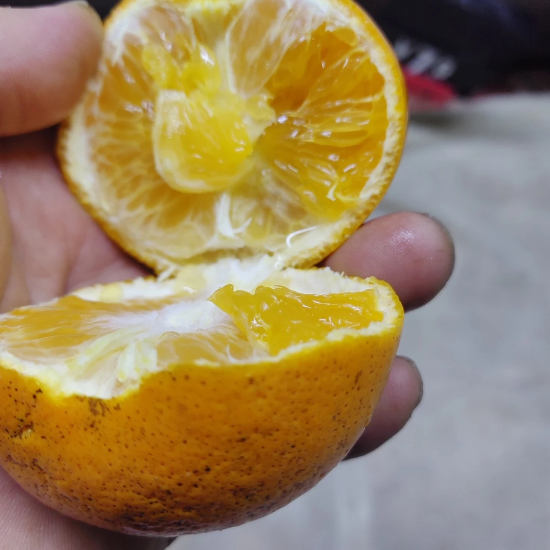 广西武鸣精品大沃柑秒杀4.58超级甜500克广西壮族自治区