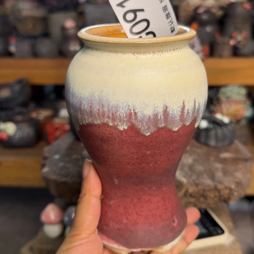 重庆小燕子欢迎大家091