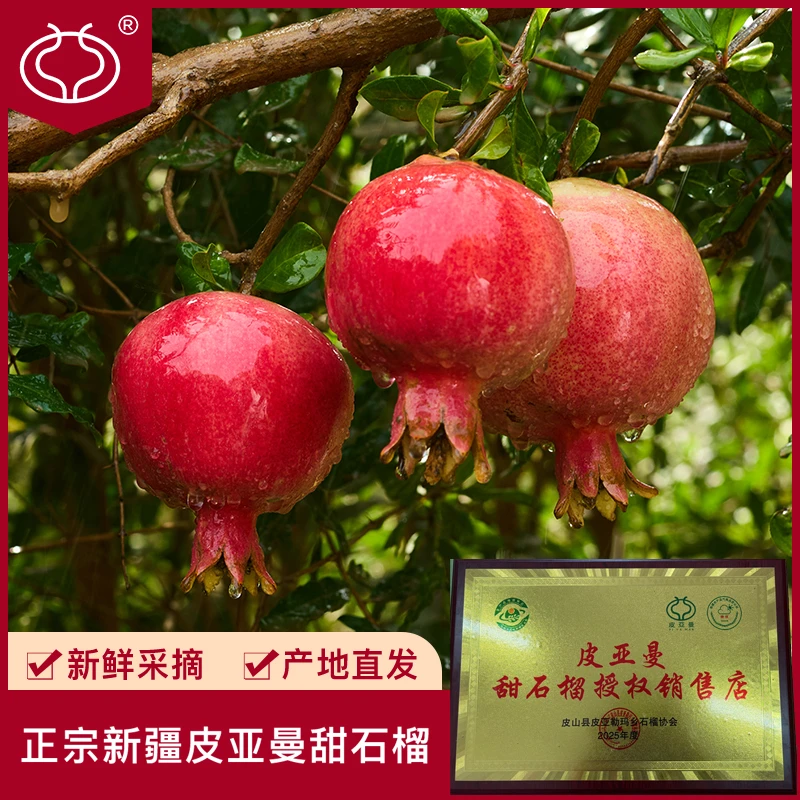 皮亚曼【新疆皮亚曼特级果】正宗甜石榴新鲜采摘香甜多汁时令水果