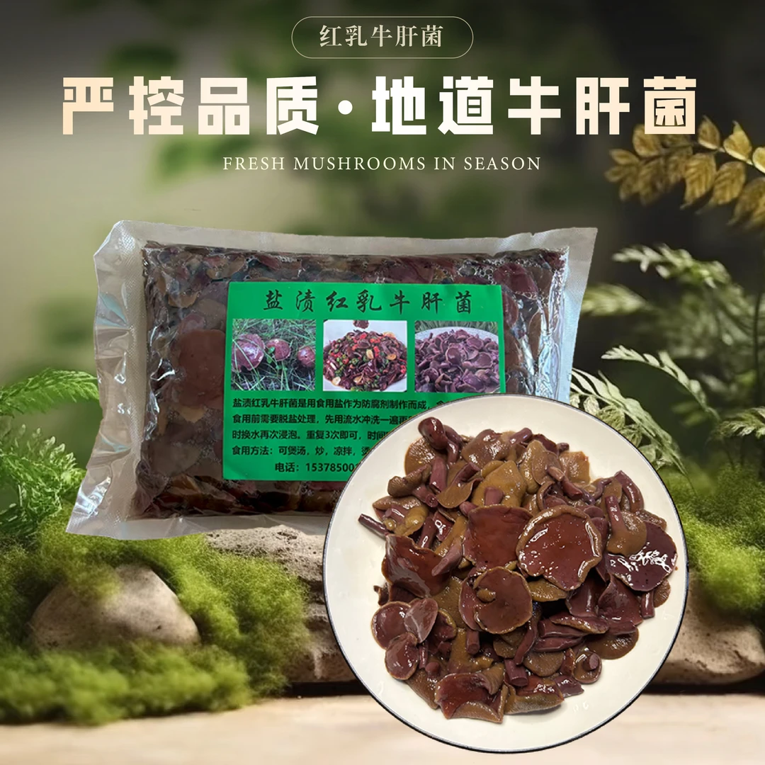 野生红乳牛肝菌特产食用菌鲜美嫩滑