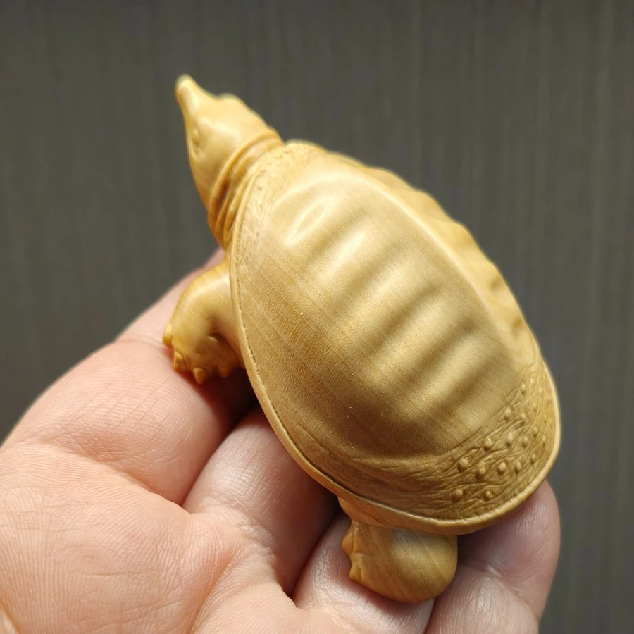 甲鱼雕刻视频教程