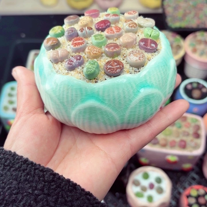 366零下地区记得拍保温箱满18包邮