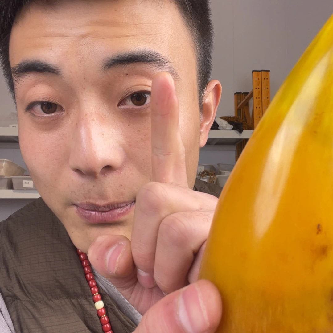 木质非金属一一一一6517