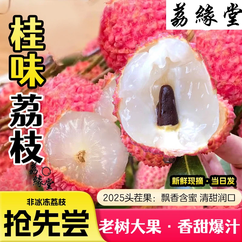 【省内包邮】广东增城老树桂味荔枝，新鲜多汁，肉厚核小，现摘现发