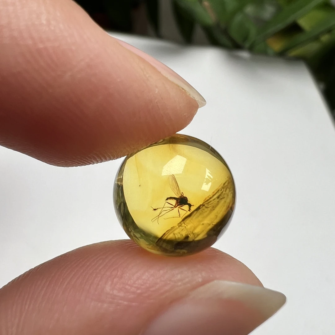 天然虫珀圆珠尺寸:12.3mm