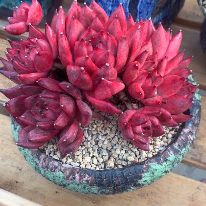 东云杂啊啊啊啊啊啊啊