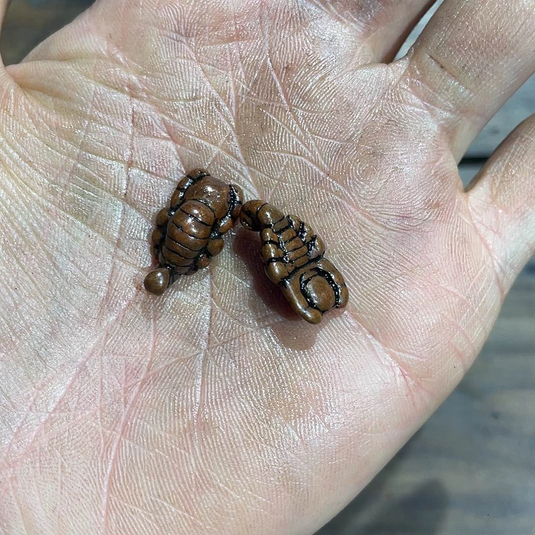 啊啊啊啊啊啊啊啊啊