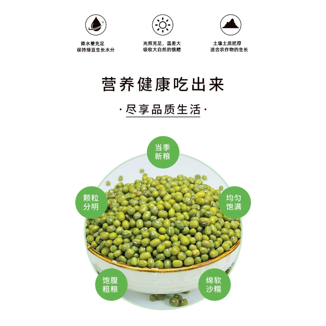 新货绿豆农家自种皮薄颗粒饱满适合熬粥煲汤解暑营养丰富五谷杂粮