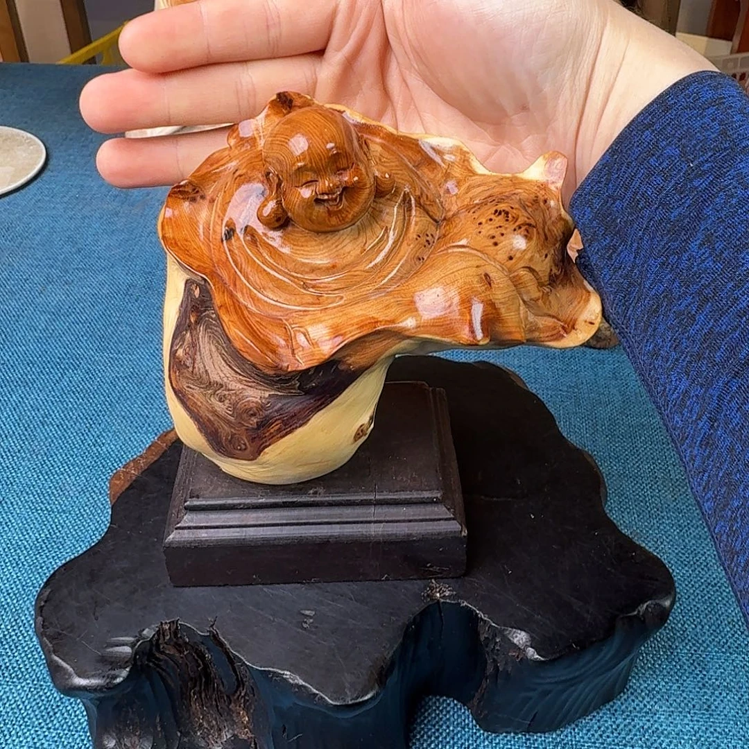 柏木（崖柏）关注一下