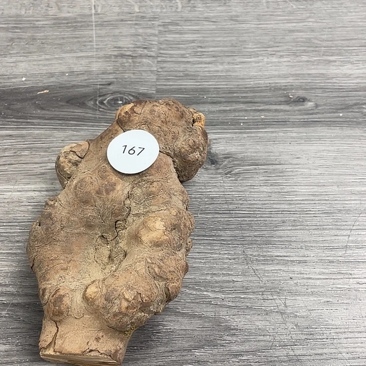 咖***屋瓷片167000000000000000