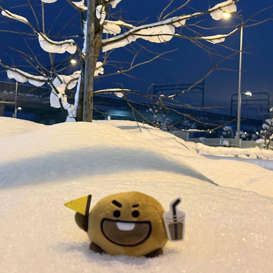 北海道shooky饼干玩偶卡通创意搞怪ins风饼干公仔送朋友闺蜜礼物