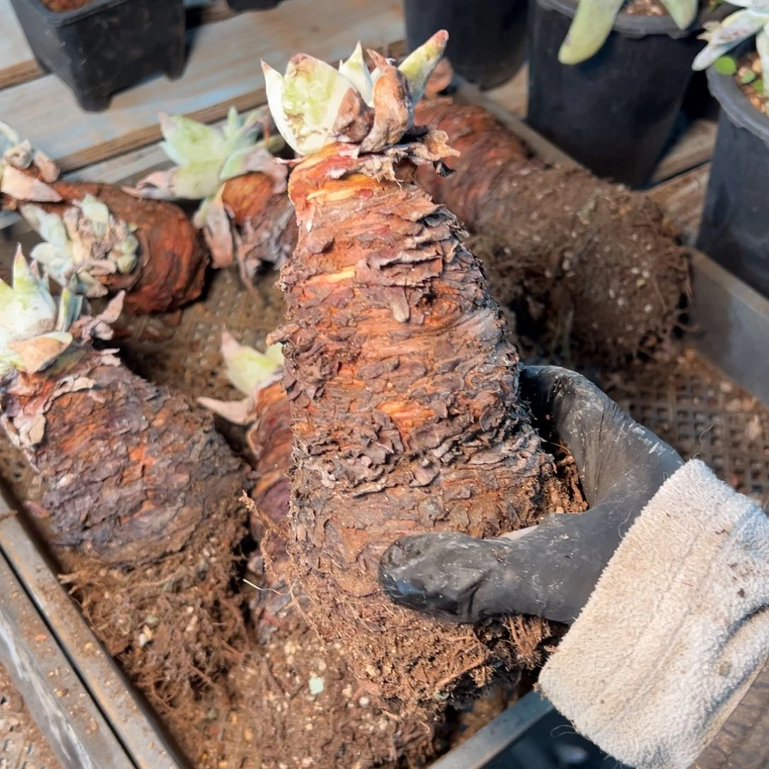 390个哈哈哈哈哈哈哈哈