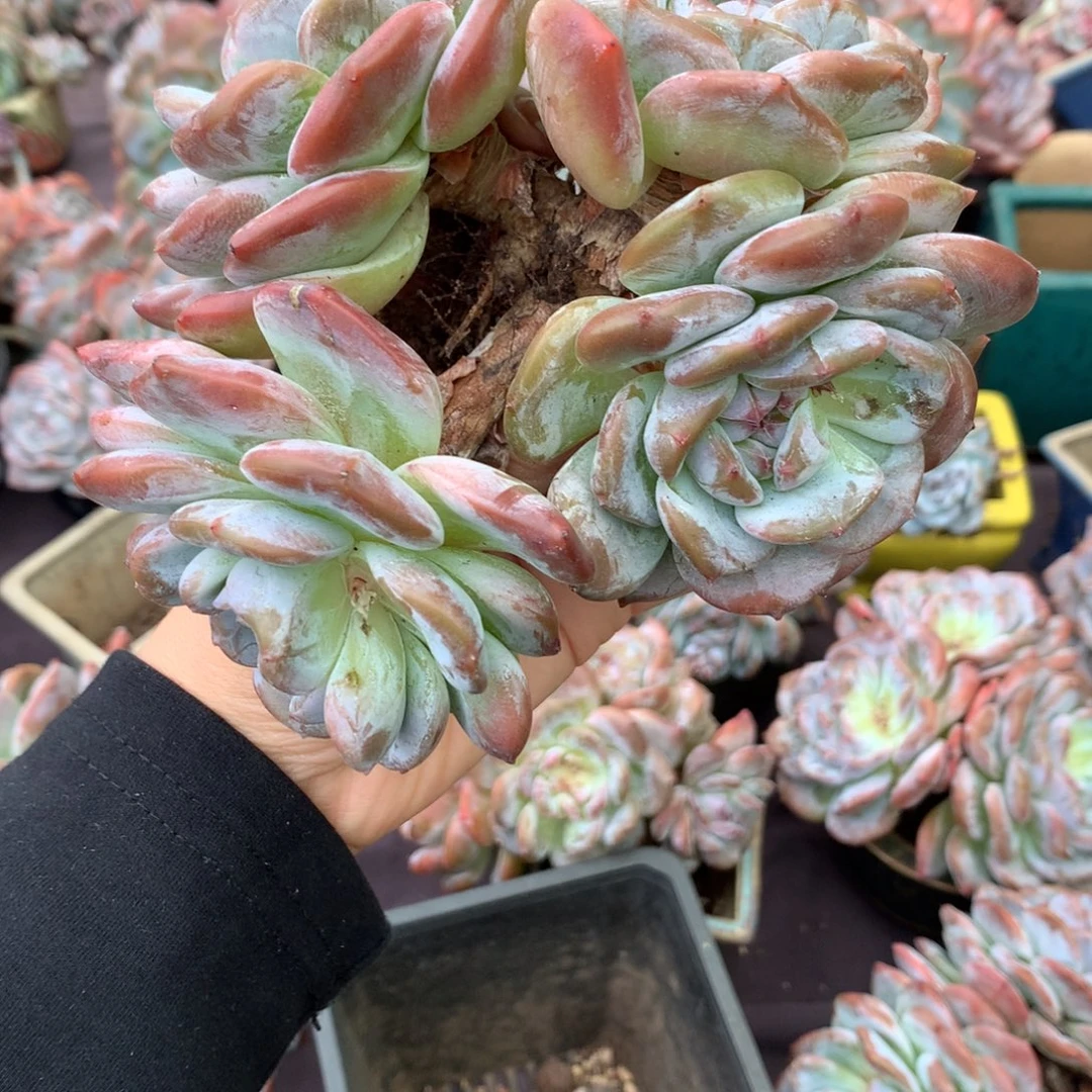 哈哈哈哈哈哈哈哈哈哈哈