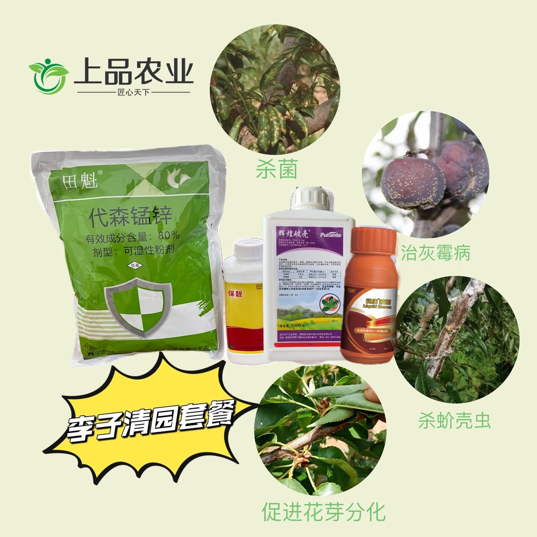 李子采果后清园套餐