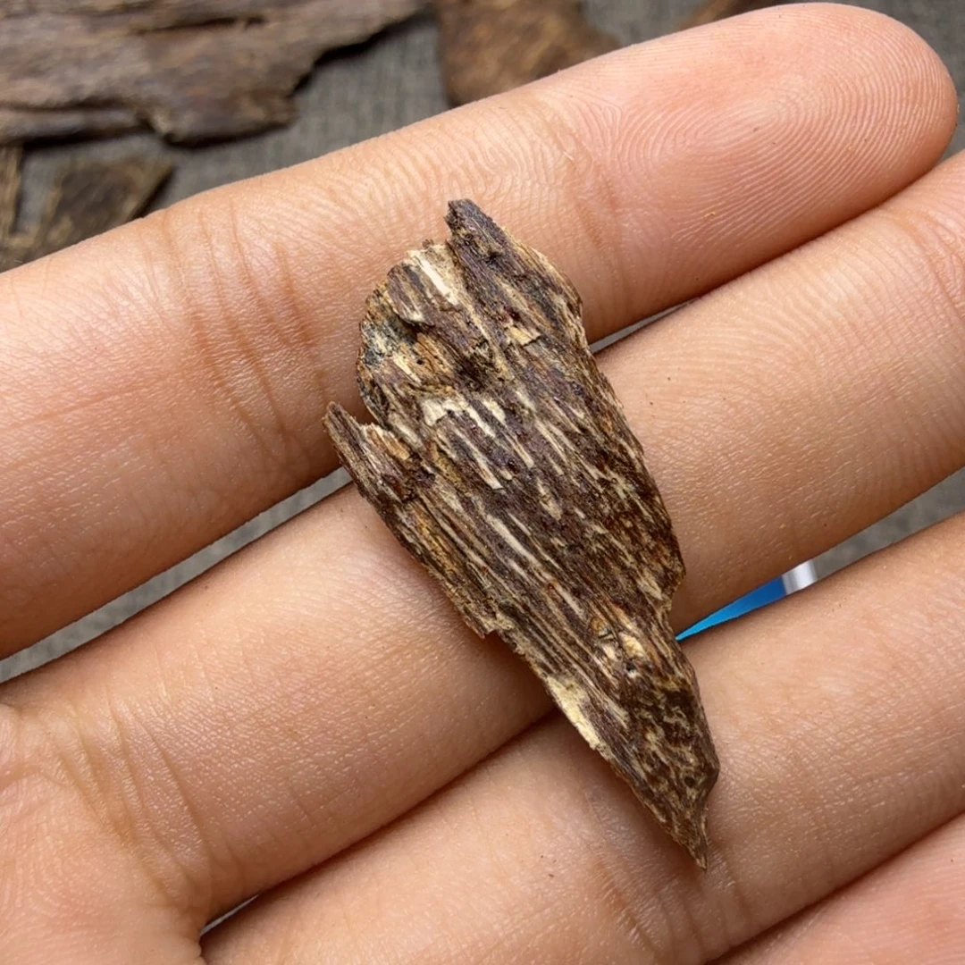 尖峰岭野生虫漏0.6克