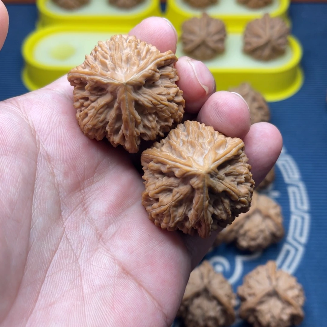 梅***怪手串/手链核桃文玩核桃