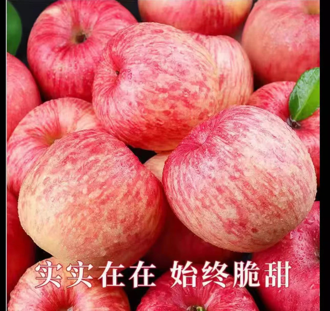 陕西洛川红富士苹果当季新鲜水果脆甜多汁冰糖心10斤