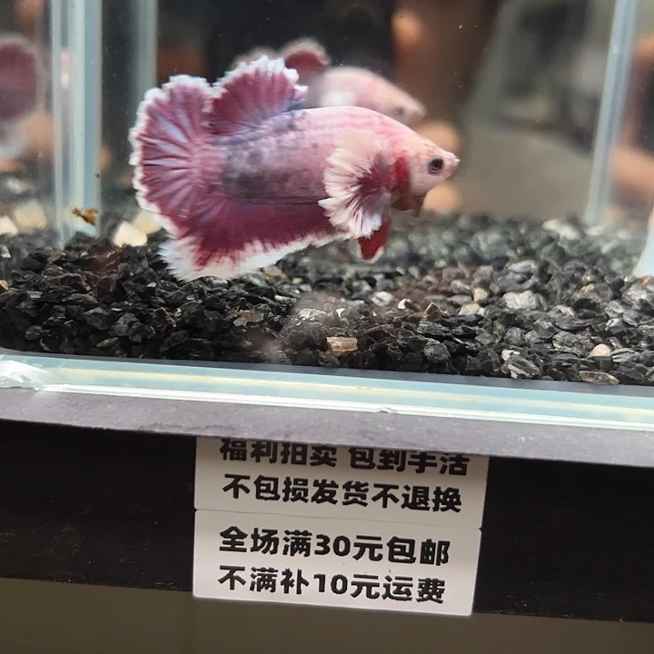 斗鱼满30包邮10日25