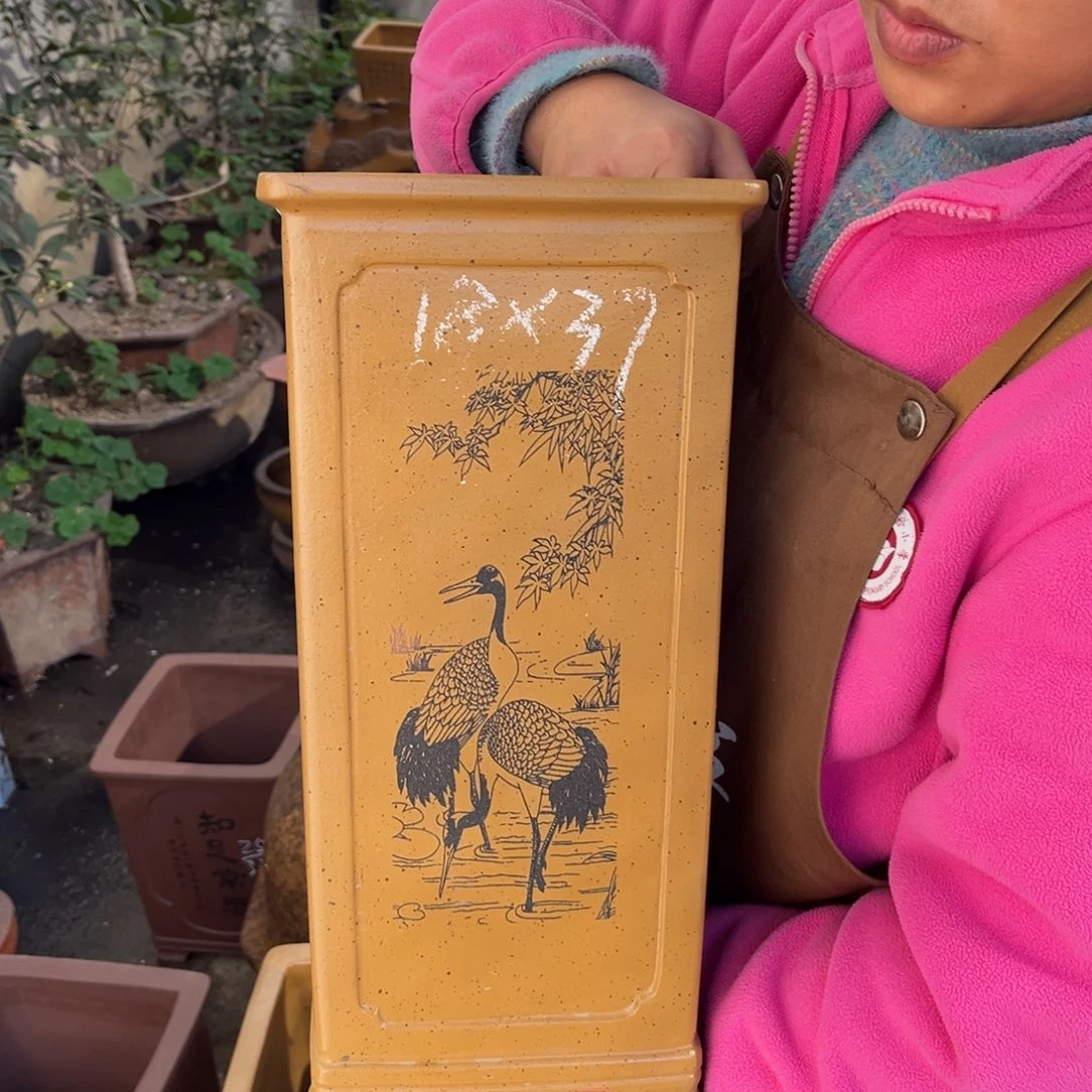 花盆紫砂盆景艺术