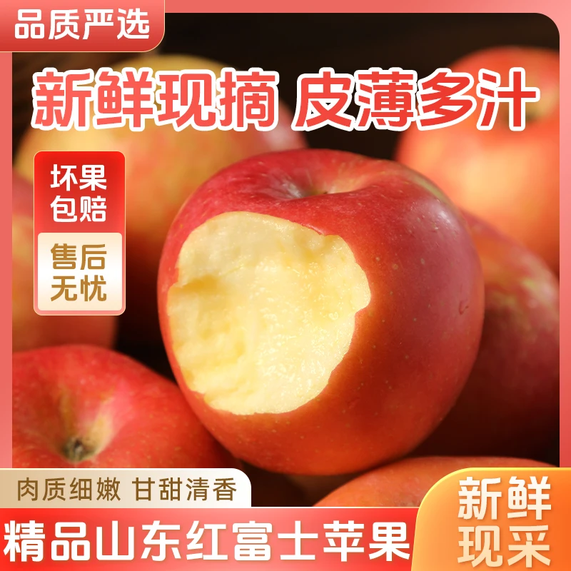 【买5斤送5斤】精选优质山东红富士苹果水果果香脆甜多汁