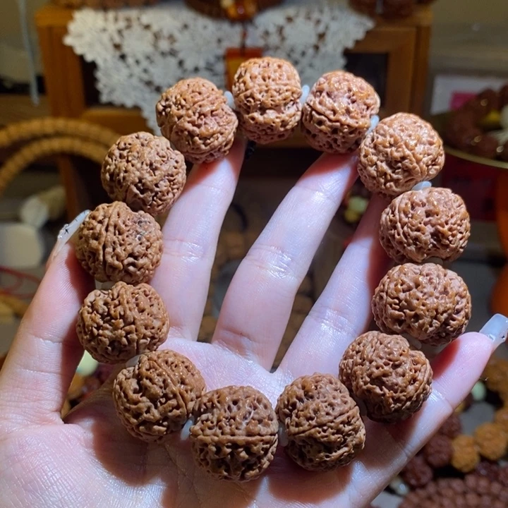 手串金刚菩提225原籽树王满肉一物