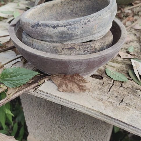 完全开放花盆花盆花盆勾勾画画了