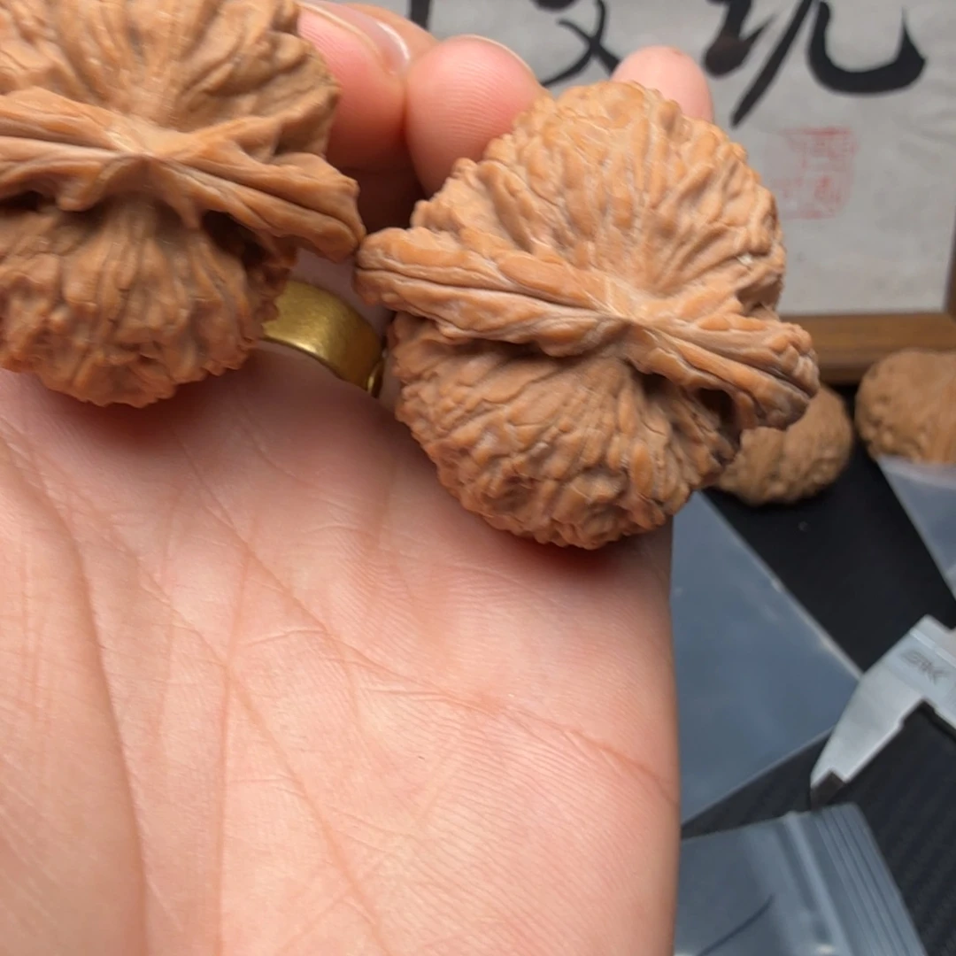 T***x吊坠文玩核桃41货头白狮子全品新果