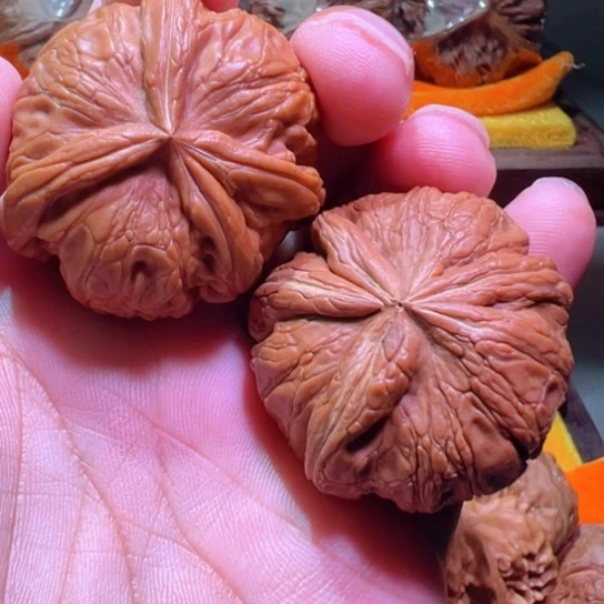 阴阳双修雌雄龙首天花板