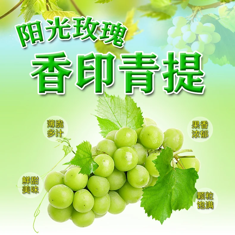 阳光玫瑰葡萄香印青提新鲜水果