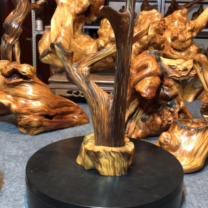 柏木（崖柏）L***e崖柏15