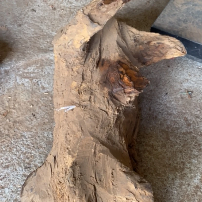 【闪购商品】把件贡木君私人订制