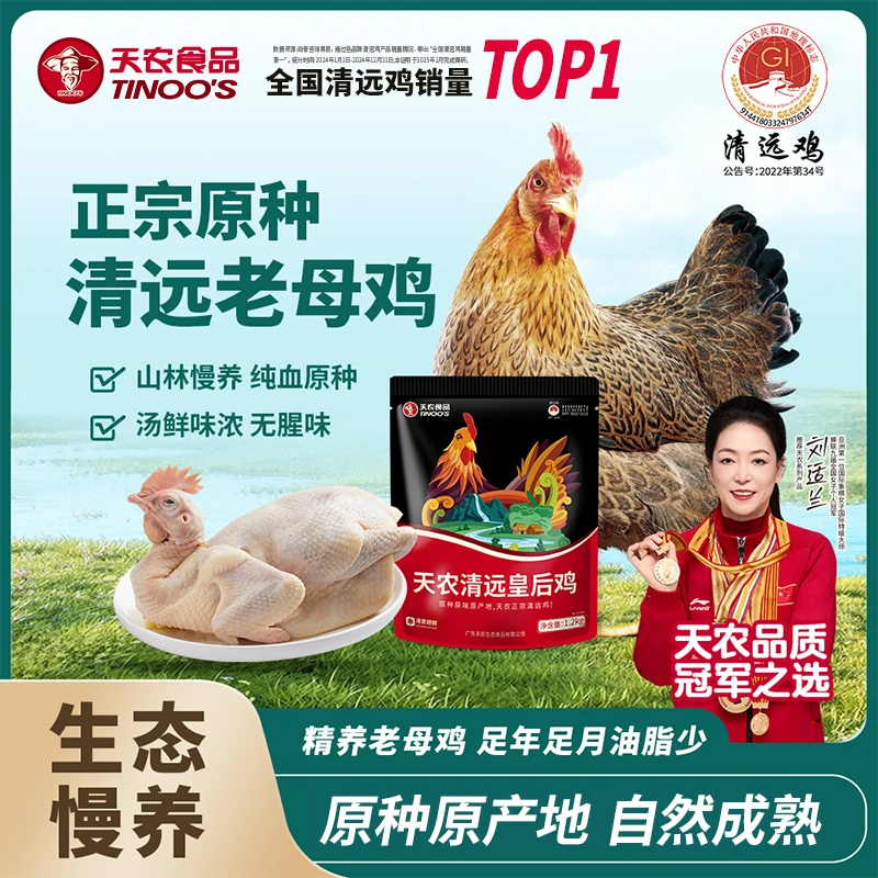 TINOO'S/天农【足年老母鸡】广东正宗原种清远鸡皇后鸡散养土鸡整只